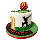 Cricket Cake - 1