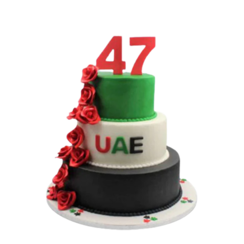 UAE National Day Cake 4