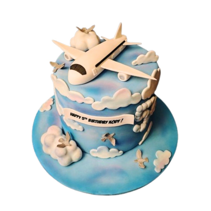 Airplane Cake For Boys 8