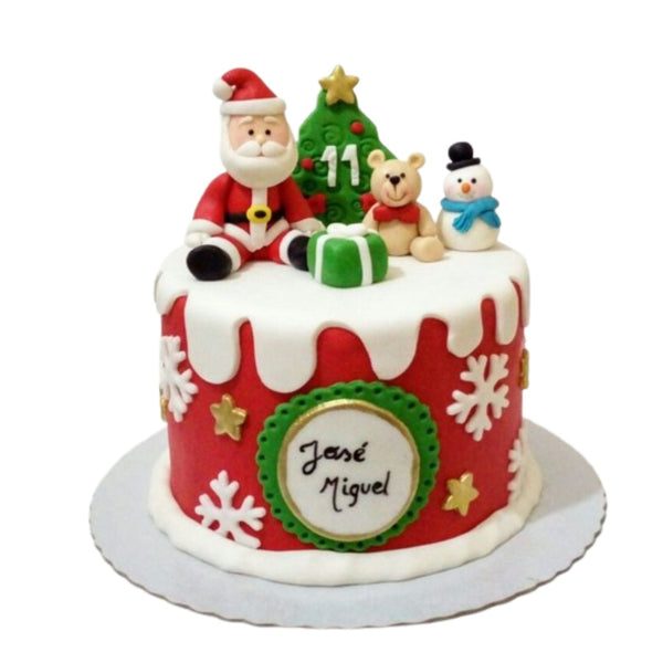 Christmas Cake 9