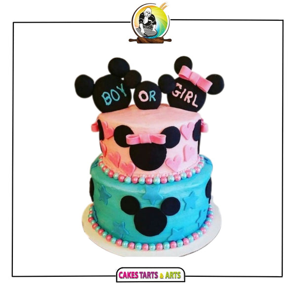 Boy or Girl Cake 3