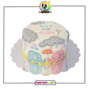 Boy or Girl Cake