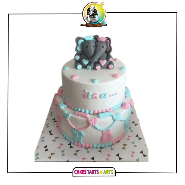 Gender Reveal Cake 21