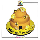 Gender Reveal Cake 23