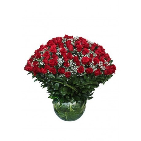 200 Optimum Red Rose