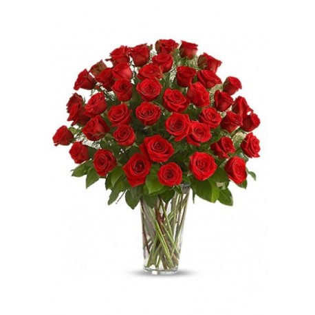 50 Long Stem Red Rose