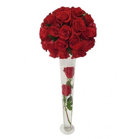 50 Red Rose in Long Vase