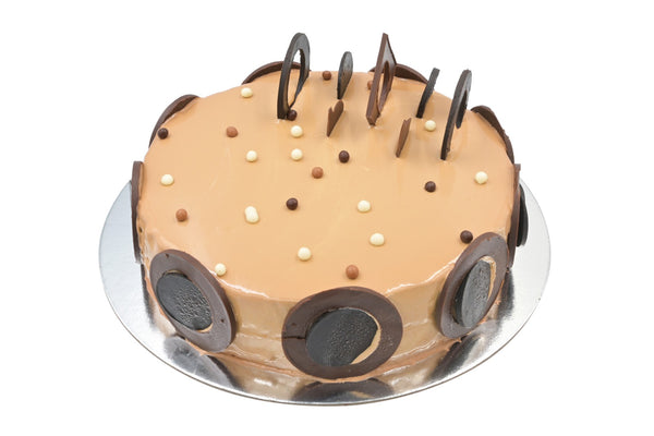 Chocolate Praline Cake