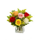 Love Embrace Mix Roses