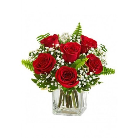 Love Embrace Red Roses