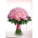 Pink Roses Hand tied