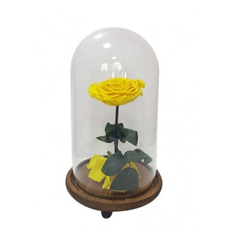 Preserved Rose - Yellow